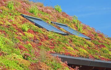 Prior Park living roof systems