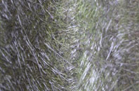 Prior Park fibreglass roof work